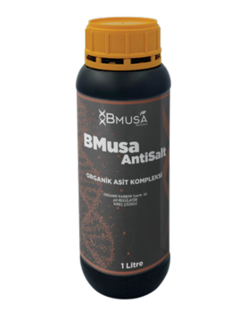 BMusa Anti Salt