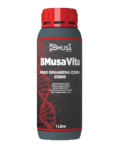 BMusa Vita