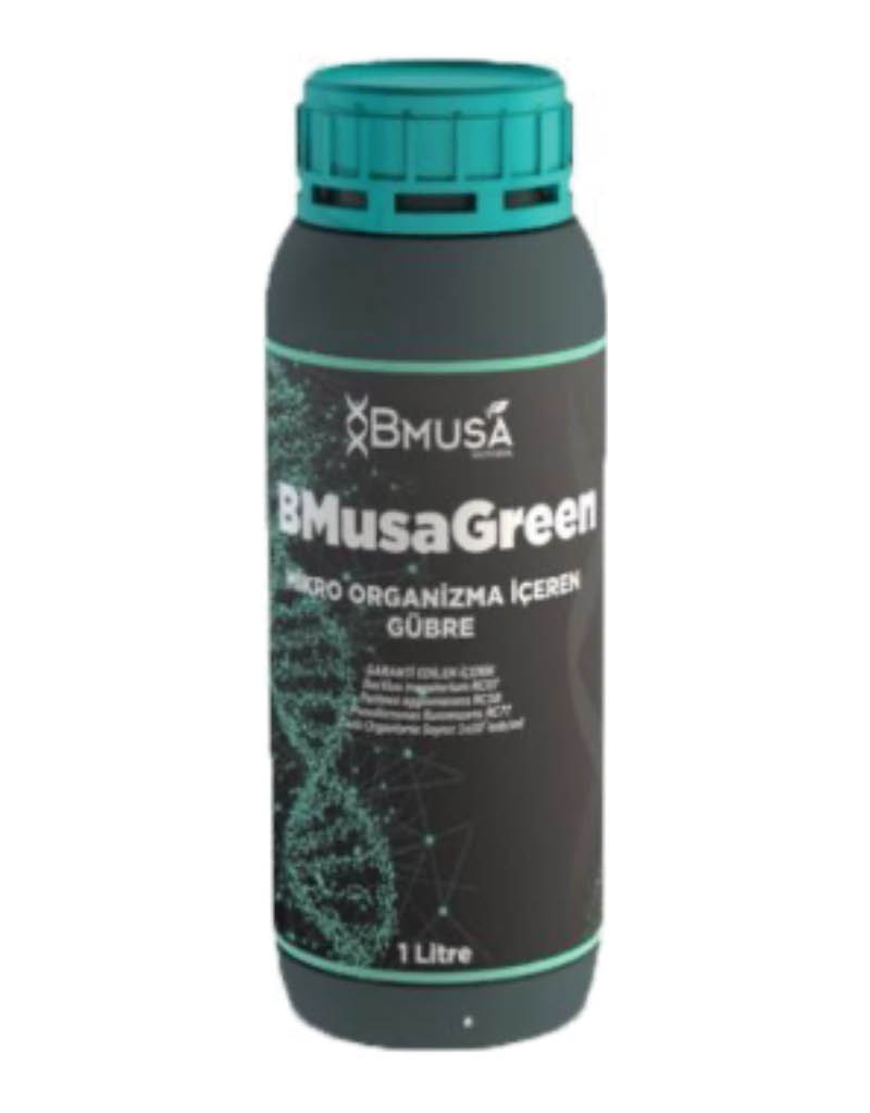BMusa Green